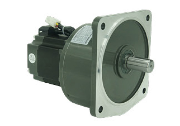 SV22-100W微型永磁減速電機(jī)